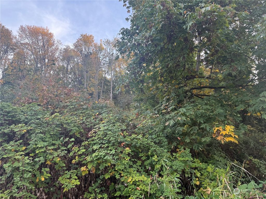 Photo of 12038 56th Place S, Seattle, WA 98178 (MLS # 2312347)