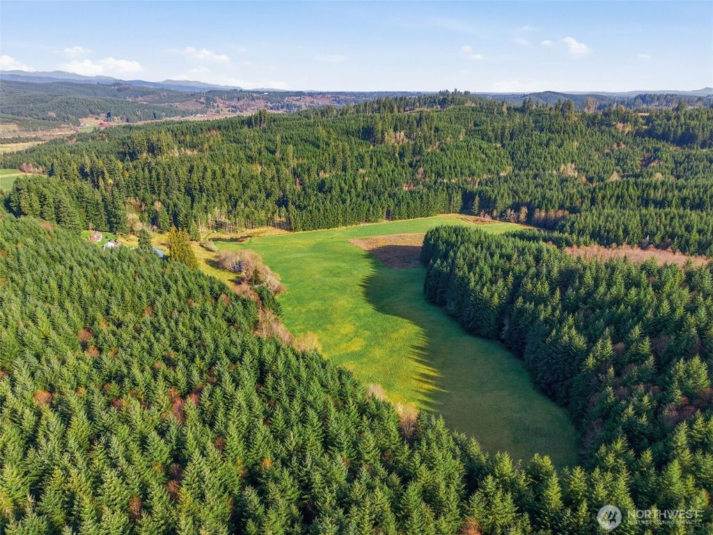 Photo of 211 Echo Road, Rochester, WA 98579 (MLS # 2480476)