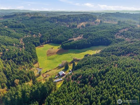 Photo of 211 Echo Road, Rochester, WA 98579 (MLS # 2480476)