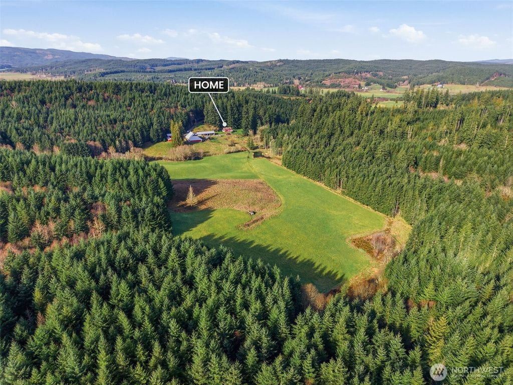 Photo of 211 Echo Road, Rochester, WA 98579 (MLS # 2480476)