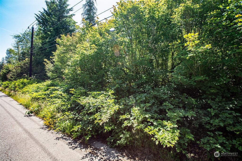 Photo of 350 XX SE 96th Street, Snoqualmie, WA 98065 (MLS # 2196186)