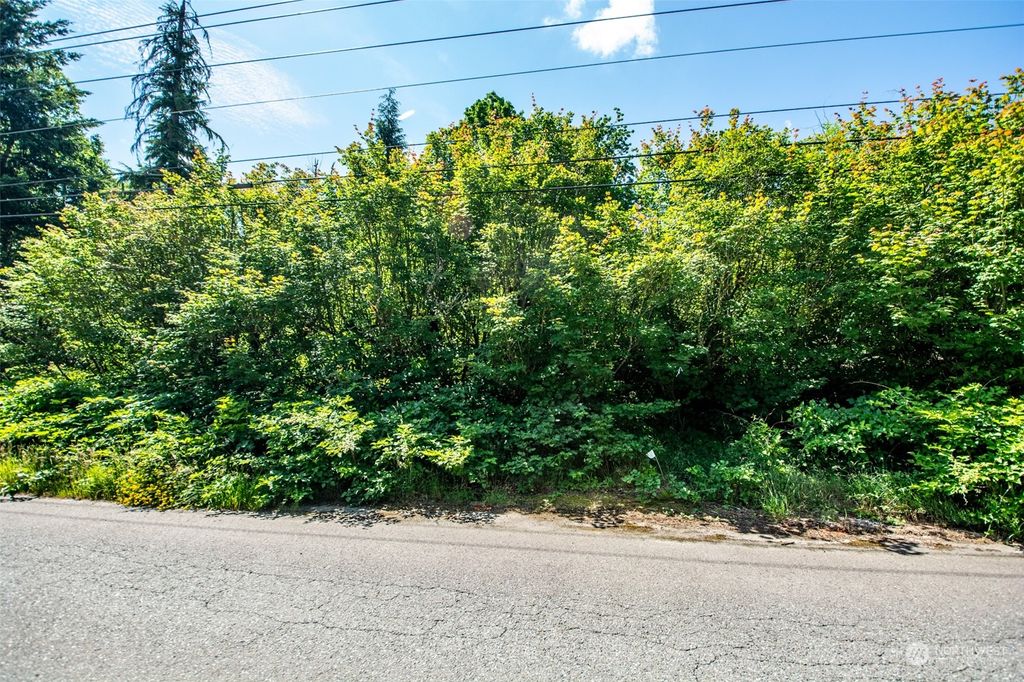 Photo of 350 XX SE 96th Street, Snoqualmie, WA 98065 (MLS # 2196186)