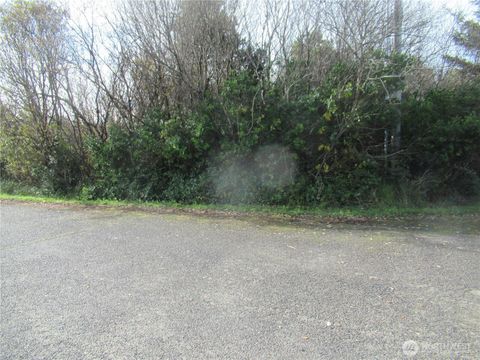16 Driftwood Drive Ocean Shores WA 98569