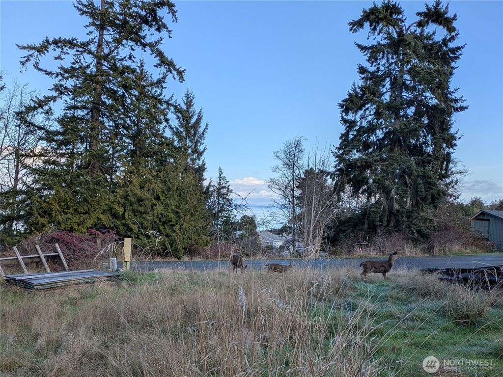 Photo of 173 Island Vista Way, Port Angeles, WA 98362 (MLS # 2472527)