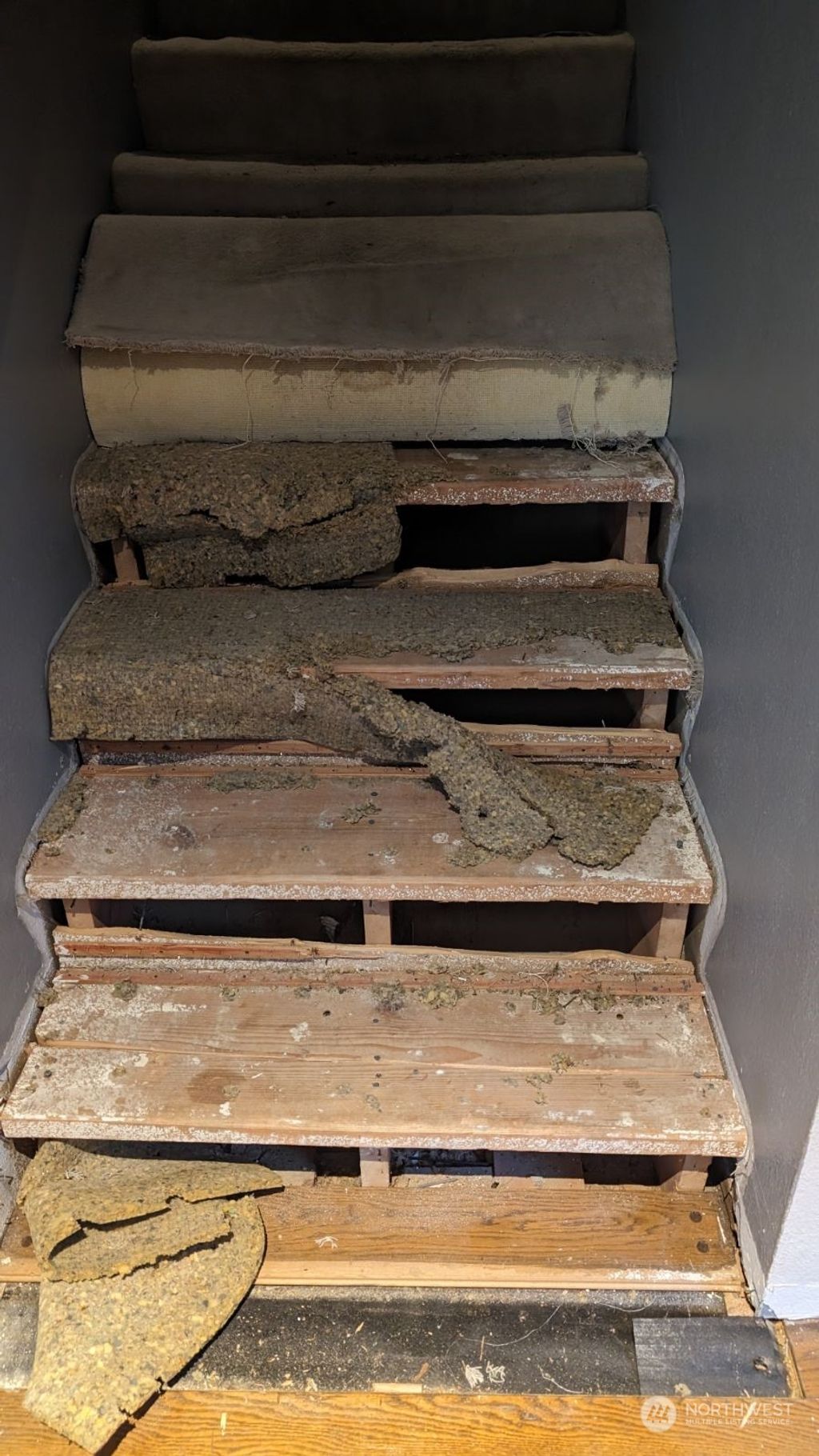 Photo of 4222 NE 203rd Street, Lake Forest Park, WA 98155 (MLS # 2195302)