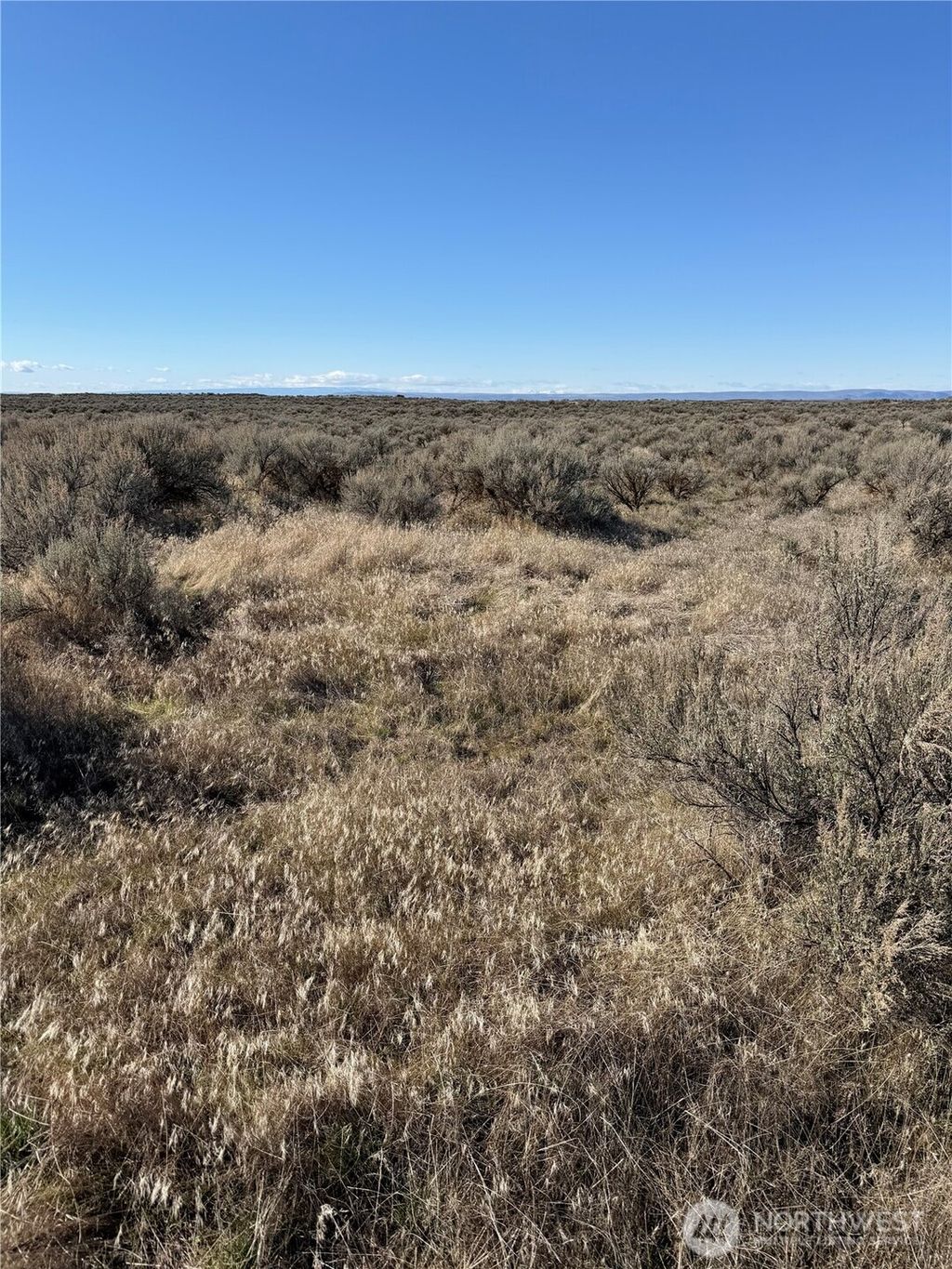 Photo of 225 Eagle Springs Ranch, Wilson Creek, WA 98860 (MLS # 2488978)