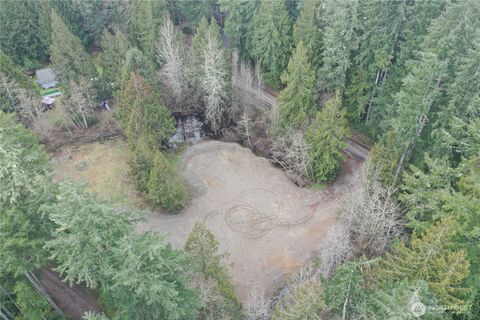 Photo of 721 E Phillips Lake Loop Road, Shelton, WA 98584 (MLS # 2487022)