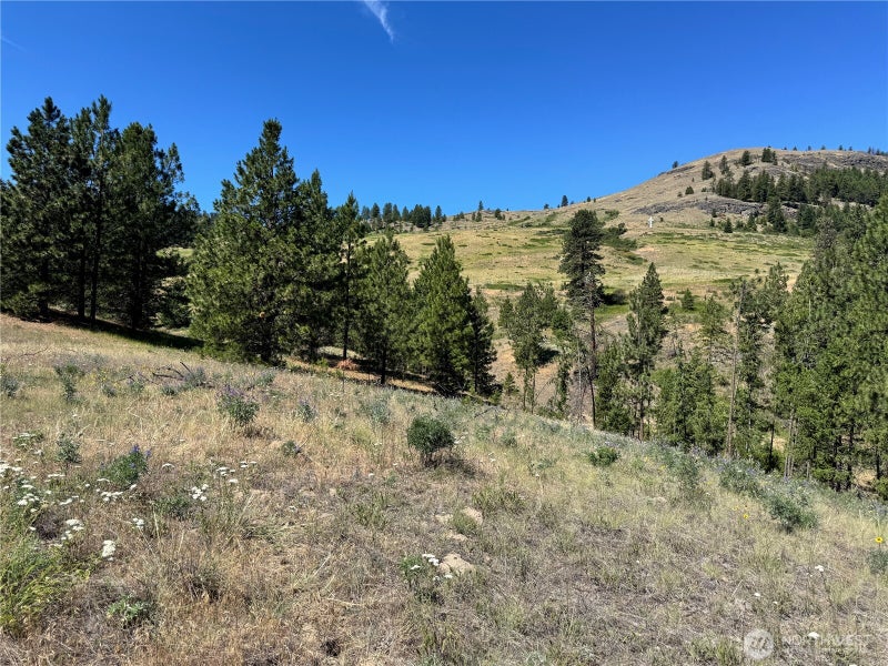 1 Lundimo Meadows Road