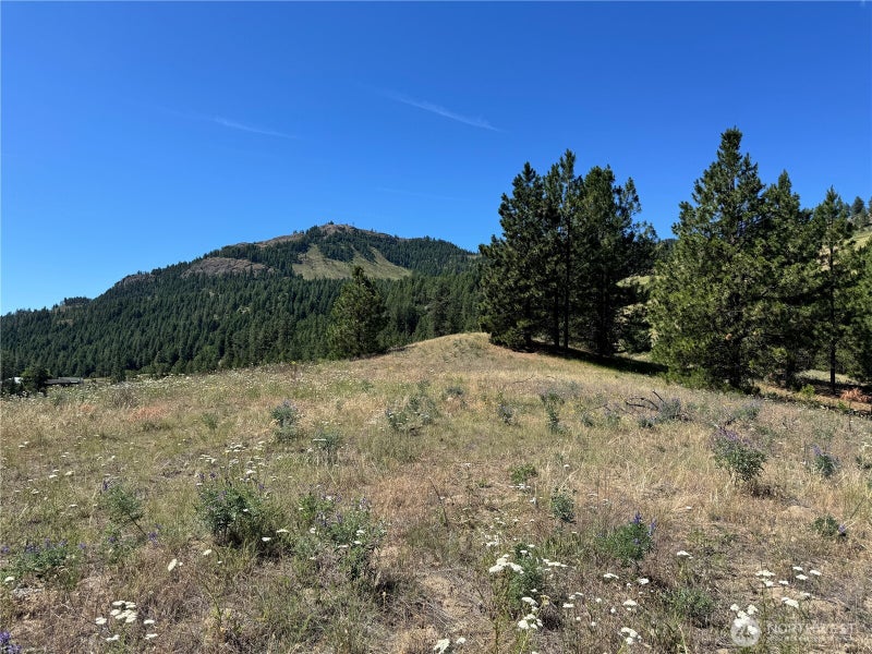1 Lundimo Meadows Road