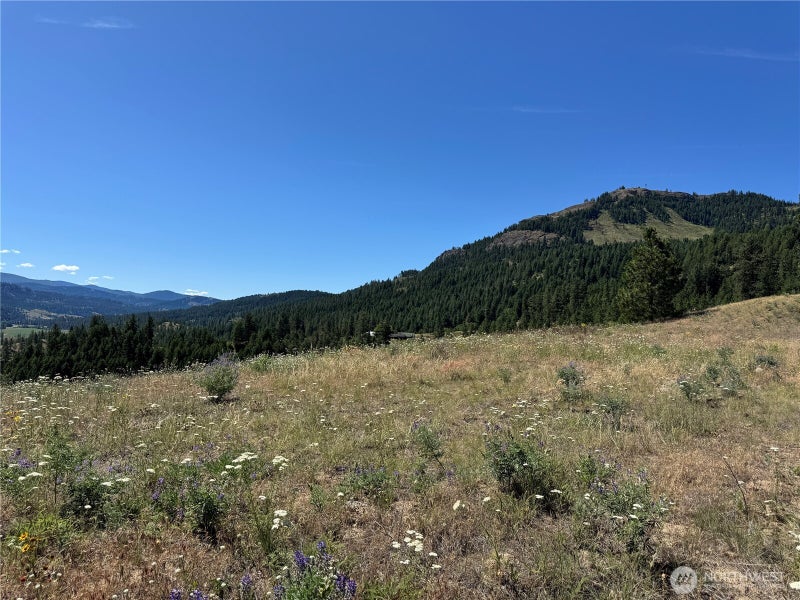1 Lundimo Meadows Road