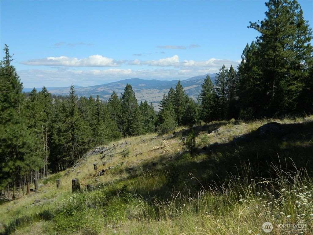 Photo of 0 TBD Snowbunny Ridge Drive, Tonasket, WA 98855 (MLS # 2485089)