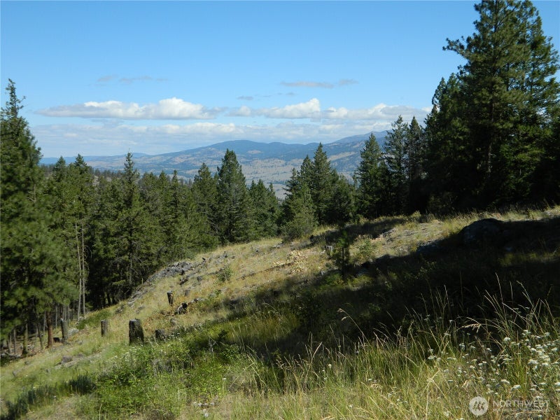 0 TBD Snowbunny Ridge Drive