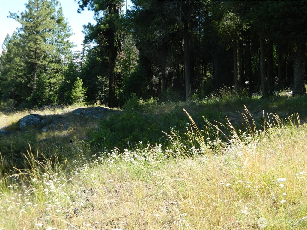 Photo of 0 TBD Snowbunny Ridge Drive, Tonasket, WA 98855 (MLS # 2485089)