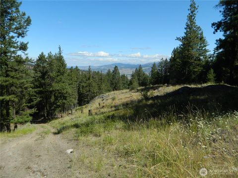 Photo of 0 TBD Snowbunny Ridge Drive, Tonasket, WA 98855 (MLS # 2485089)