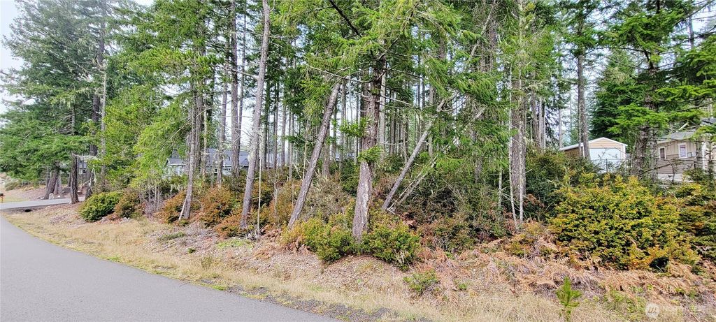 Photo of 350 E Vine Maple Lane, Union, WA 98592 (MLS # 2480049)