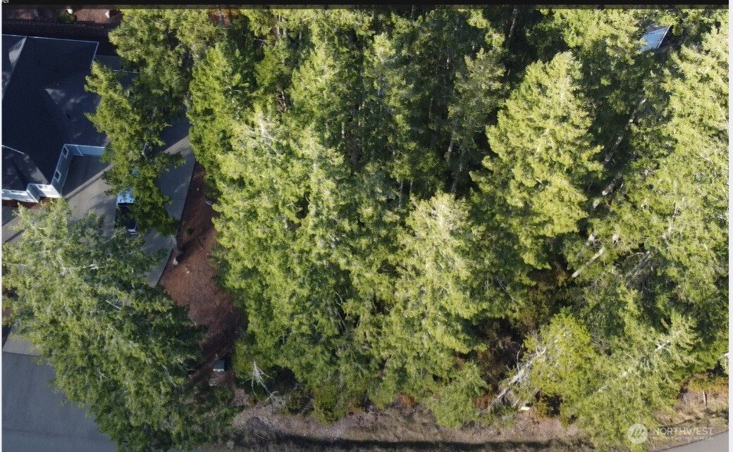 350 E Vine Maple Lane