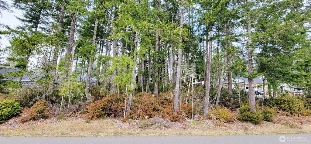 Photo of 350 E Vine Maple Lane, Union, WA 98592 (MLS # 2480049)