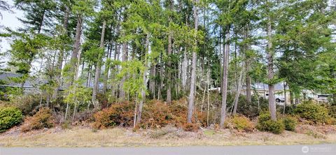 350 E Vine Maple Lane Union WA 98592