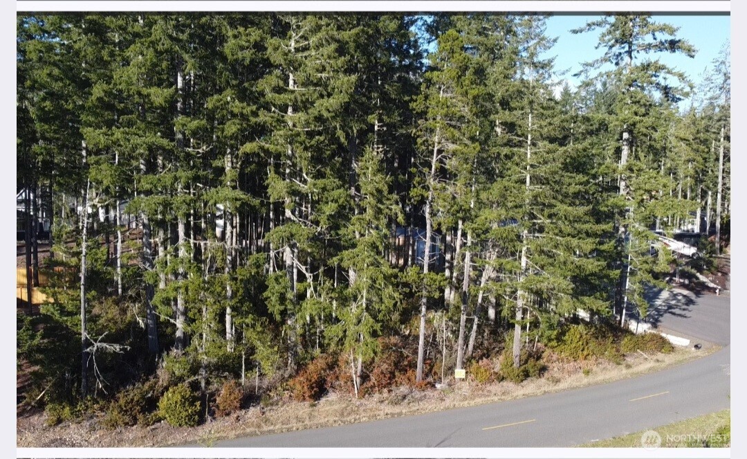 350 E Vine Maple Lane