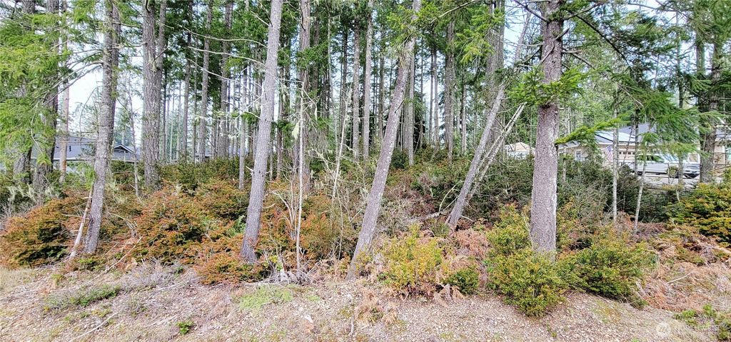 Photo of 350 E Vine Maple Lane, Union, WA 98592 (MLS # 2480049)