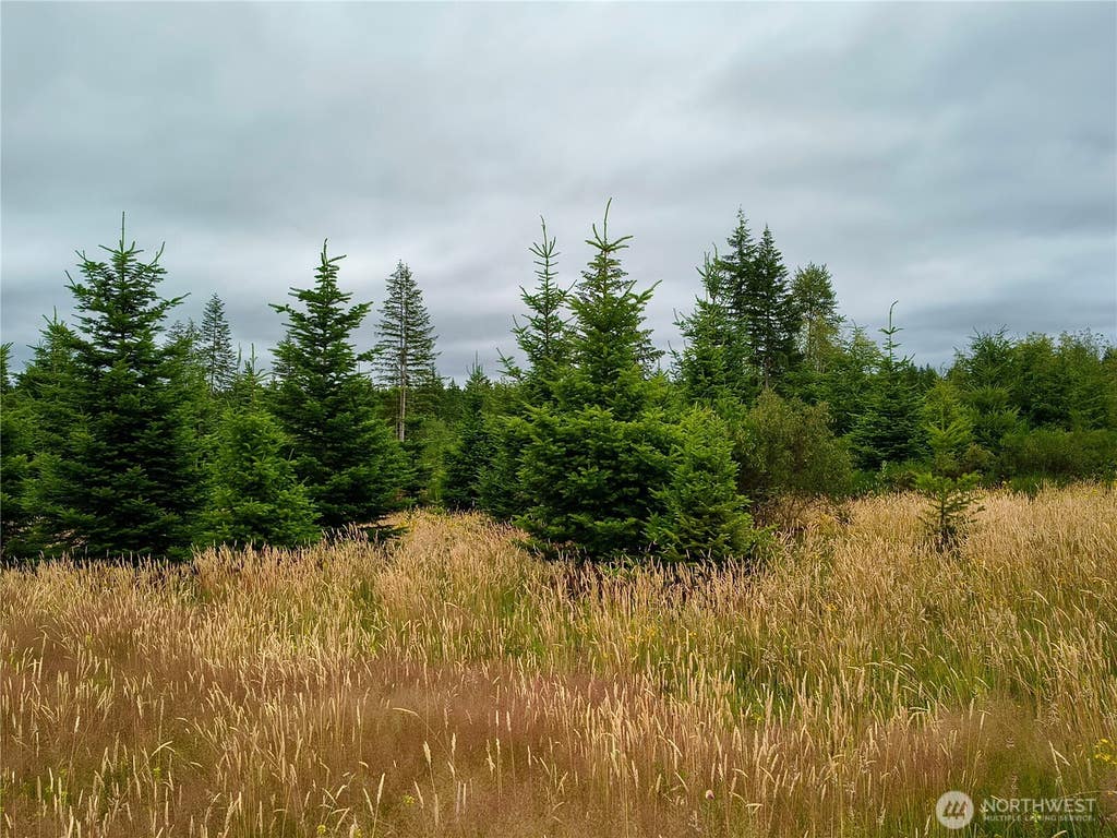 Photo of 6510 101 St Avenue SW, Olympia, WA 98512 (MLS # 2569015)