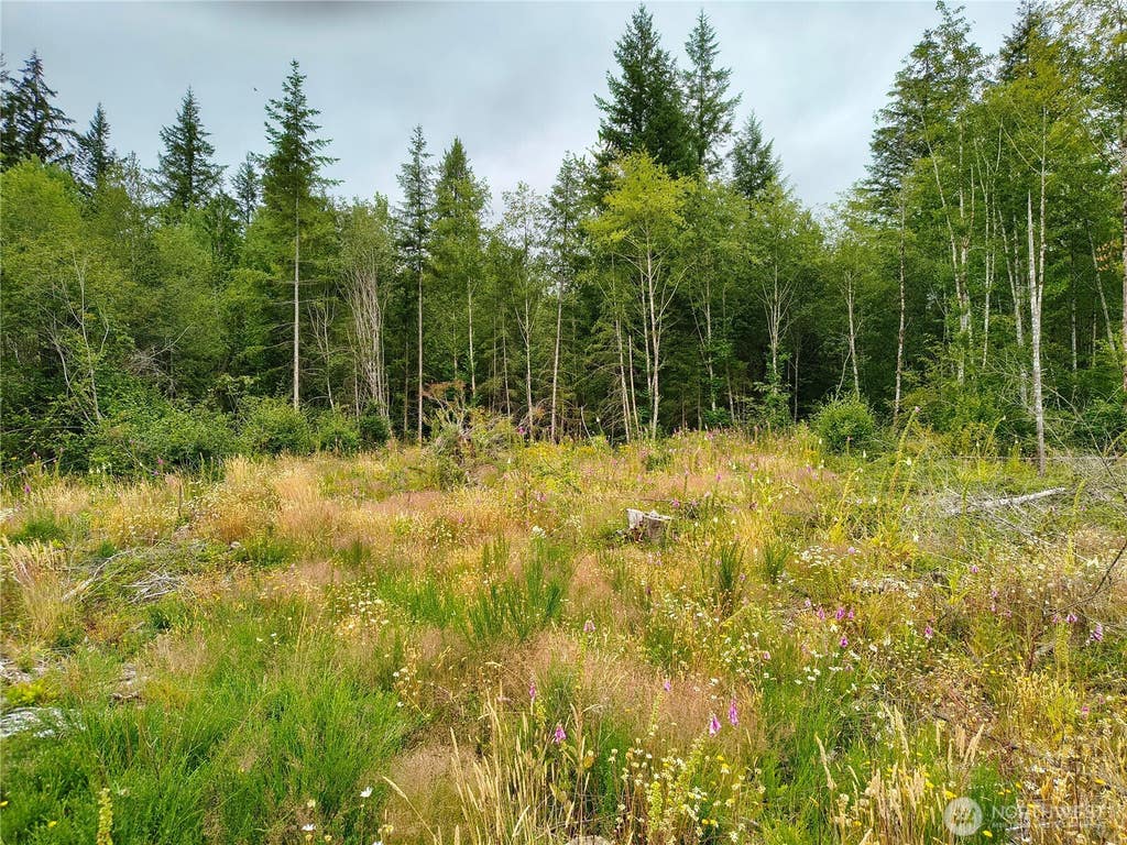 Photo of 6510 101 St Avenue SW, Olympia, WA 98512 (MLS # 2569015)