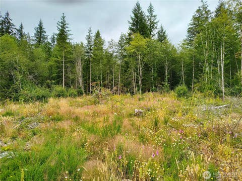 Photo of 6510 101 St Avenue SW, Olympia, WA 98512 (MLS # 2569015)