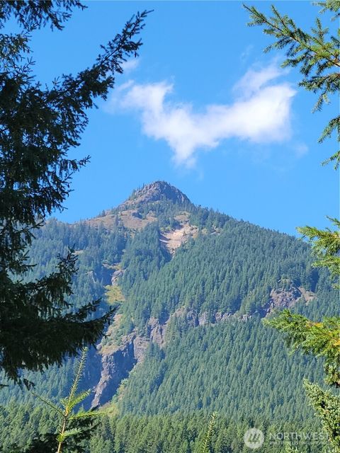 113 Cottonwood Lane Packwood WA 98361