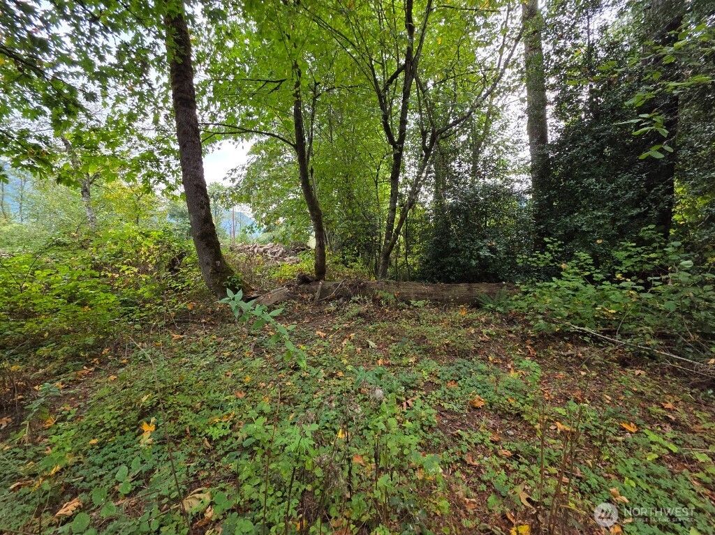 Photo of 1206 Croft Avenue, Gold Bar, WA 98251 (MLS # 2438993)