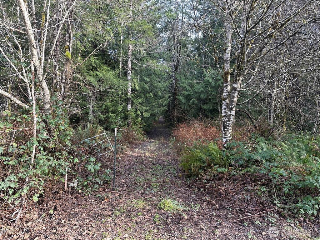 Photo of 0 Willchar Boulevard, Shelton, WA 98584 (MLS # 2476875)