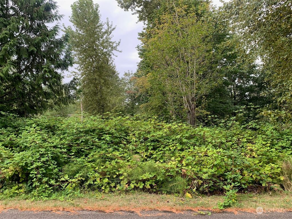 Photo of 264 XX NE 51st Street, Redmond, WA 98053 (MLS # 2283037)