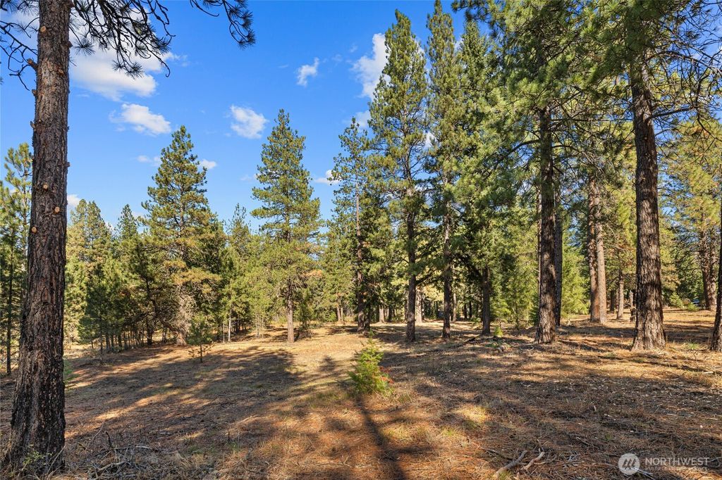 Photo of 101 Book Lane, Cle Elum, WA 98922 (MLS # 2475497)