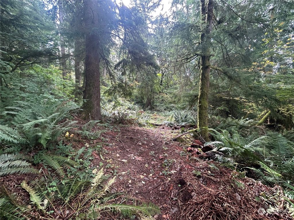 Photo of 30301 SE 396th Street, Enumclaw, WA 98022 (MLS # 2168019)