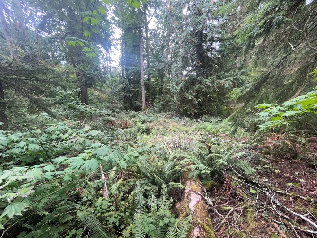 Photo of 30301 SE 396th Street, Enumclaw, WA 98022 (MLS # 2168019)