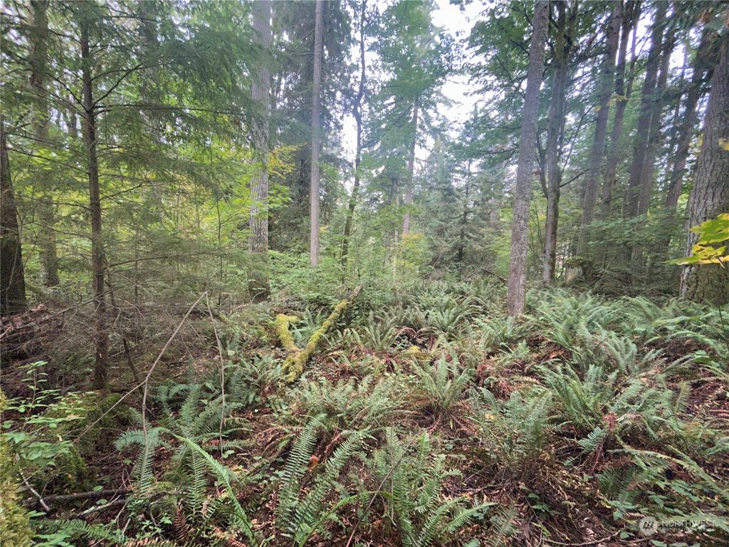 Photo of 30301 SE 396th Street, Enumclaw, WA 98022 (MLS # 2168019)