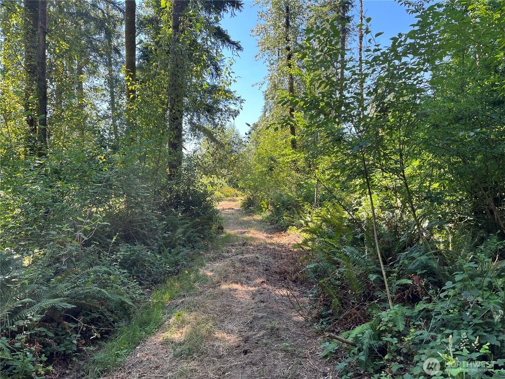 Photo of 868 Old Highway, Chehalis, WA 98532 (MLS # 2547165)