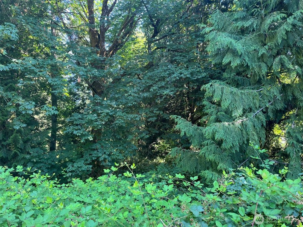 Photo of 868 Old Highway, Chehalis, WA 98532 (MLS # 2547165)