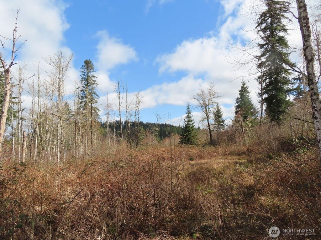 Photo of 125 Oppelt Road, Chehalis, WA 98532 (MLS # 2496190)