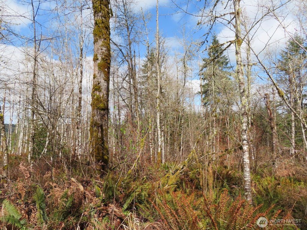 Photo of 125 Oppelt Road, Chehalis, WA 98532 (MLS # 2496190)