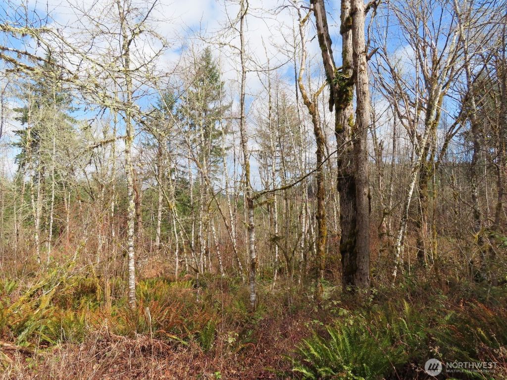 Photo of 125 Oppelt Road, Chehalis, WA 98532 (MLS # 2496190)