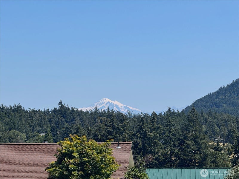 41 Mountain View