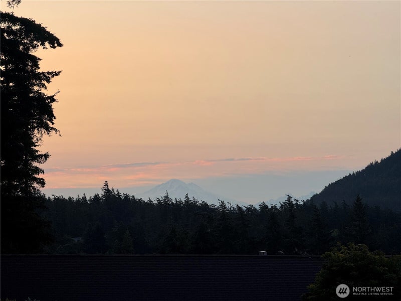 41 Mountain View