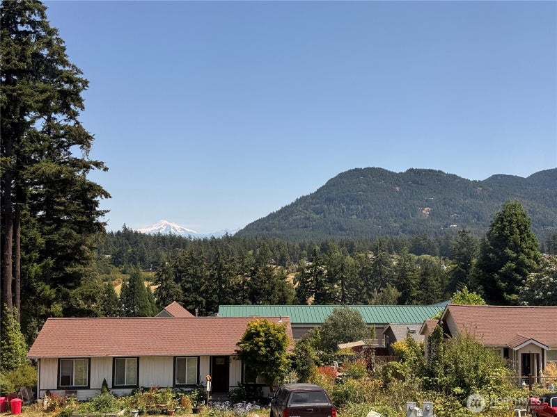 41 Mountain View