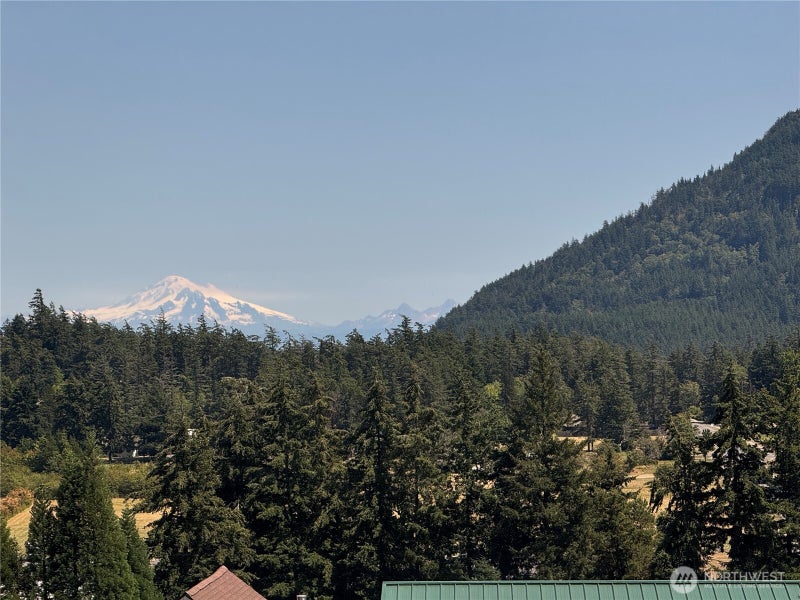 41 Mountain View