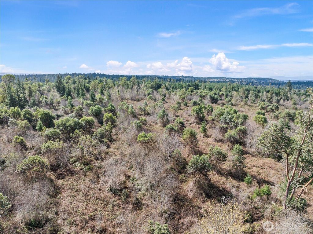 Photo of 17908 16th Street SW, Lakebay, WA 98349 (MLS # 2501849)