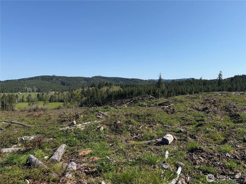 Photo of 4 xx Oppelt Road, Chehalis, WA 98532 (MLS # 2505866)