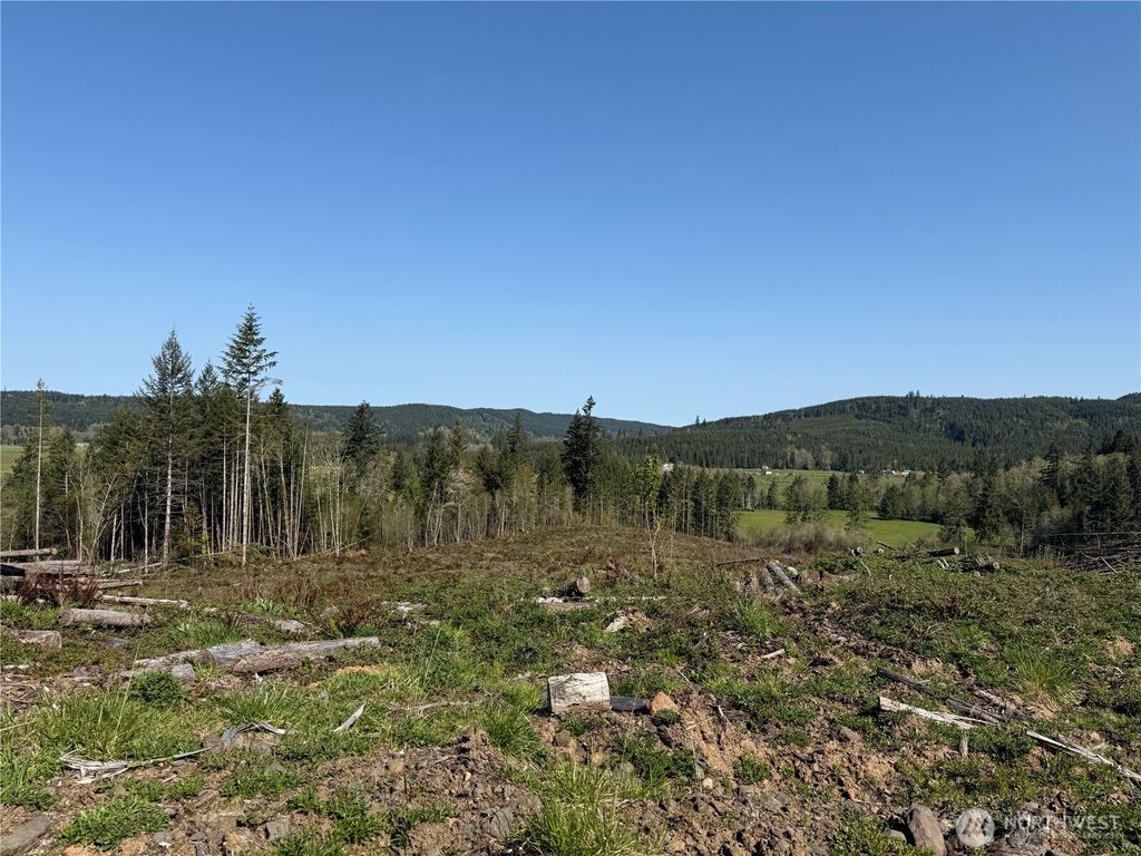 Photo of 4 xx Oppelt Road, Chehalis, WA 98532 (MLS # 2505866)