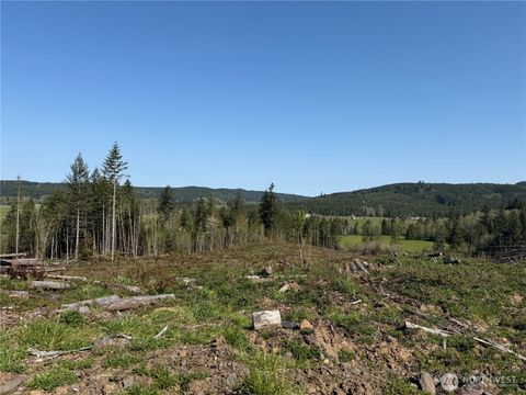 Photo of 4 xx Oppelt Road, Chehalis, WA 98532 (MLS # 2505866)