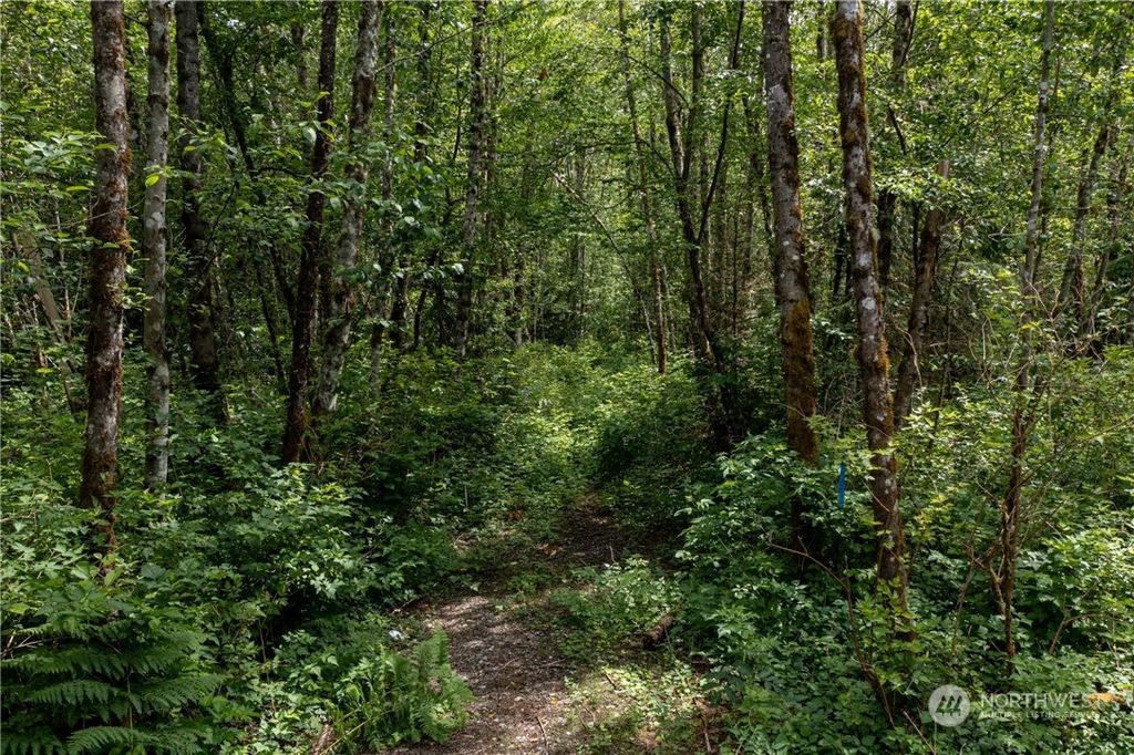 Photo of 10703 112th Street NE, Arlington, WA 98223 (MLS # 2008404)