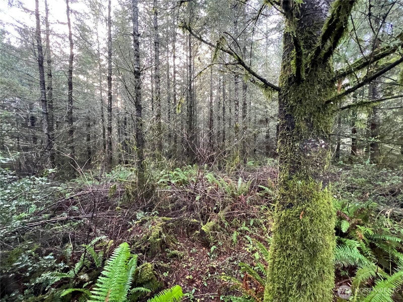 1 Snow Creek Road